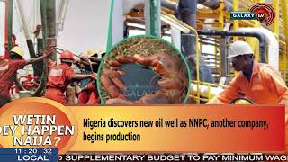 Nigeria Discovers New Oil Well As NNPC, Another Company Begins Production