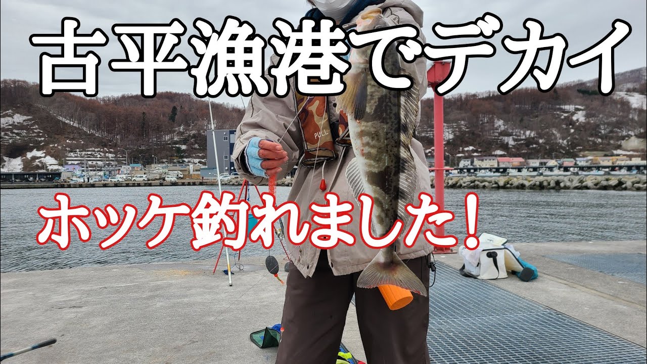 古平漁港でホッケとカレイ釣りをしました。