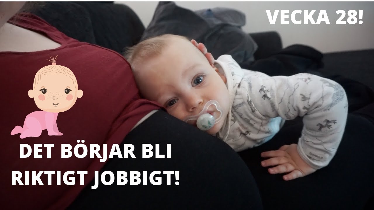 VART ÄR LILLASYSTER? | Gravid vecka 28