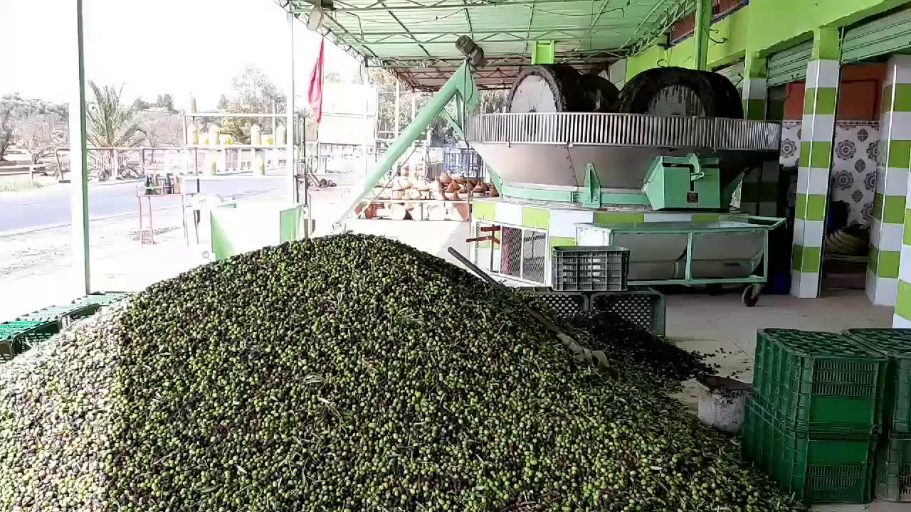 مطحنة زيت الزيتون بمدينة العطاوية
