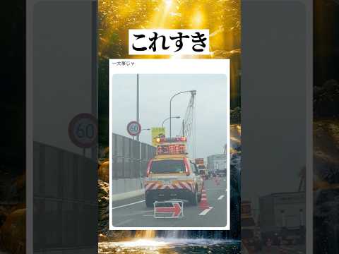 一大事 #shorts #面白い #おもしろ #車 #猫のサムネイル