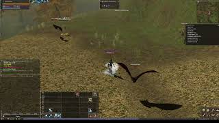 Dark Mystic lvl 17 exp + grimm collector quest.  Ruins Of Despair.  / L2 Reborn Signature C4