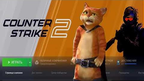 "How many hours do you have in CS2?"