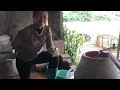 "Repotting Rituals: Keeping Plants Happy"