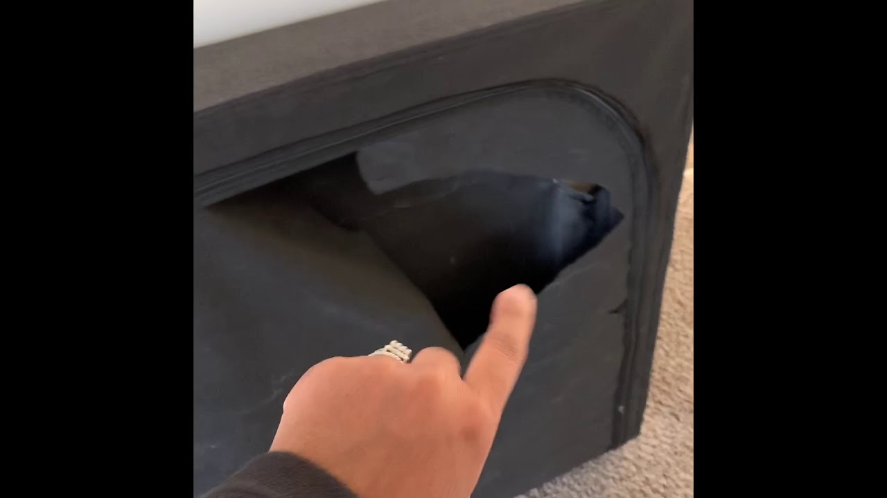 MOVING FROM STATE TO STATE (LOUISIANA TO MICHIGAN) WITH KIDS