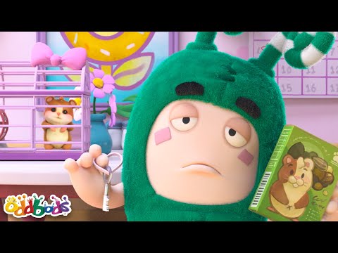 Zee in Charge | Oddbods | 1 Hour of Full Episodes | Be Brave!