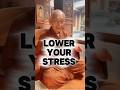 Monk’s Wisdom: This Is The Fastest Way To Lower Your Stress #innerpeace #withinyou