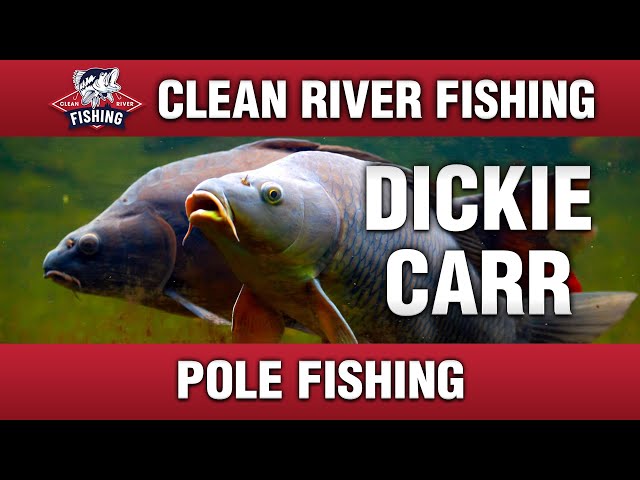 carr fishing pole Roylvan 2 Pack Vehicle Rod Holder Aluminum Long Stroke spool Ultimate Fishing Golf Carts: The
