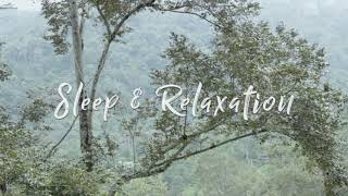 Ambient Journey (Original Track By Sleep & Relaxation) Track 16 by Sleep & Relaxation 11,102 views 1 year ago 8 minutes, 34 seconds