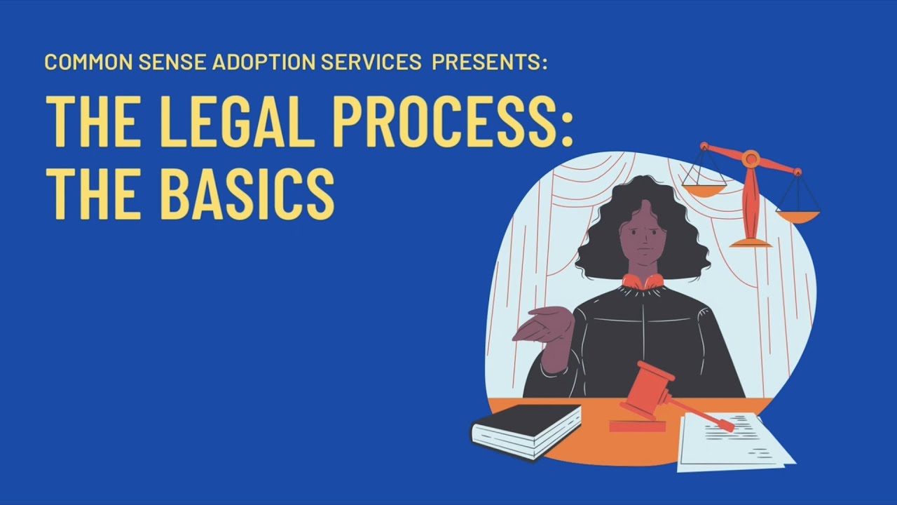 Common Sense Process Common Sense The Legal Process Part 2 - YouTube
