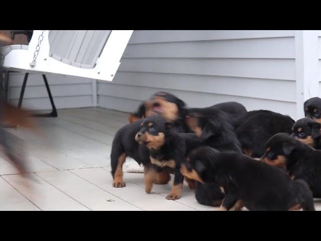 Spencer video thumbnail
