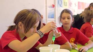Interim Report - Reforming the Content of the Curriculum