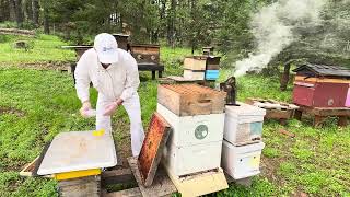 Quick hive inspection