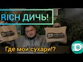 Instafood ОБЗОР. Развели меня на бабки. Огуречные попки в бургере.