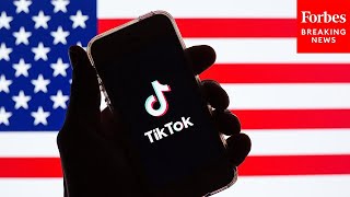 How A TikTok Purchase Could Raise Antitrust Issues: Expert Discusses