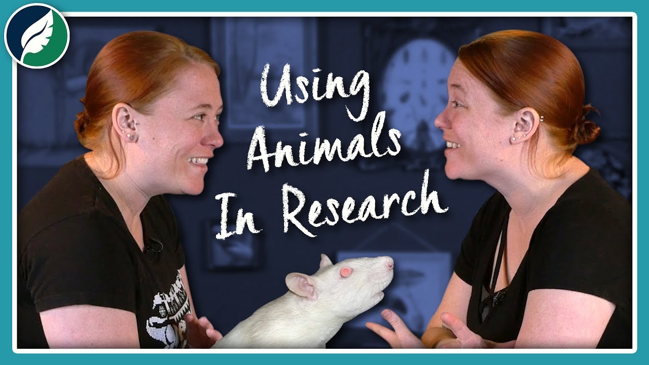 ⁣Should We Keep Using Lab Rats? The Debate Over Model Organisms