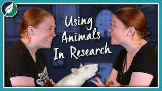 Should We Keep Using Lab Rats? The Debate Over Model Organisms by Nature League 2,740 views 4 years ago 7 minutes, 19 seconds