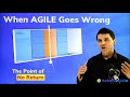 Change requests in agile projects  business analysis technique