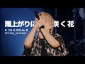 SPYAIR - 비 그친 뒤 피어나는 꽃 (雨上がりに咲く花) _한글자막