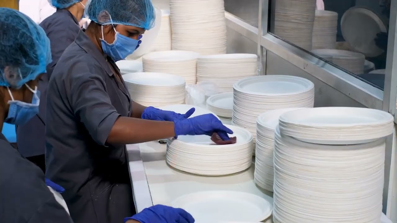 GoEco Factory | Manufacturer Of Bagasse Tableware India