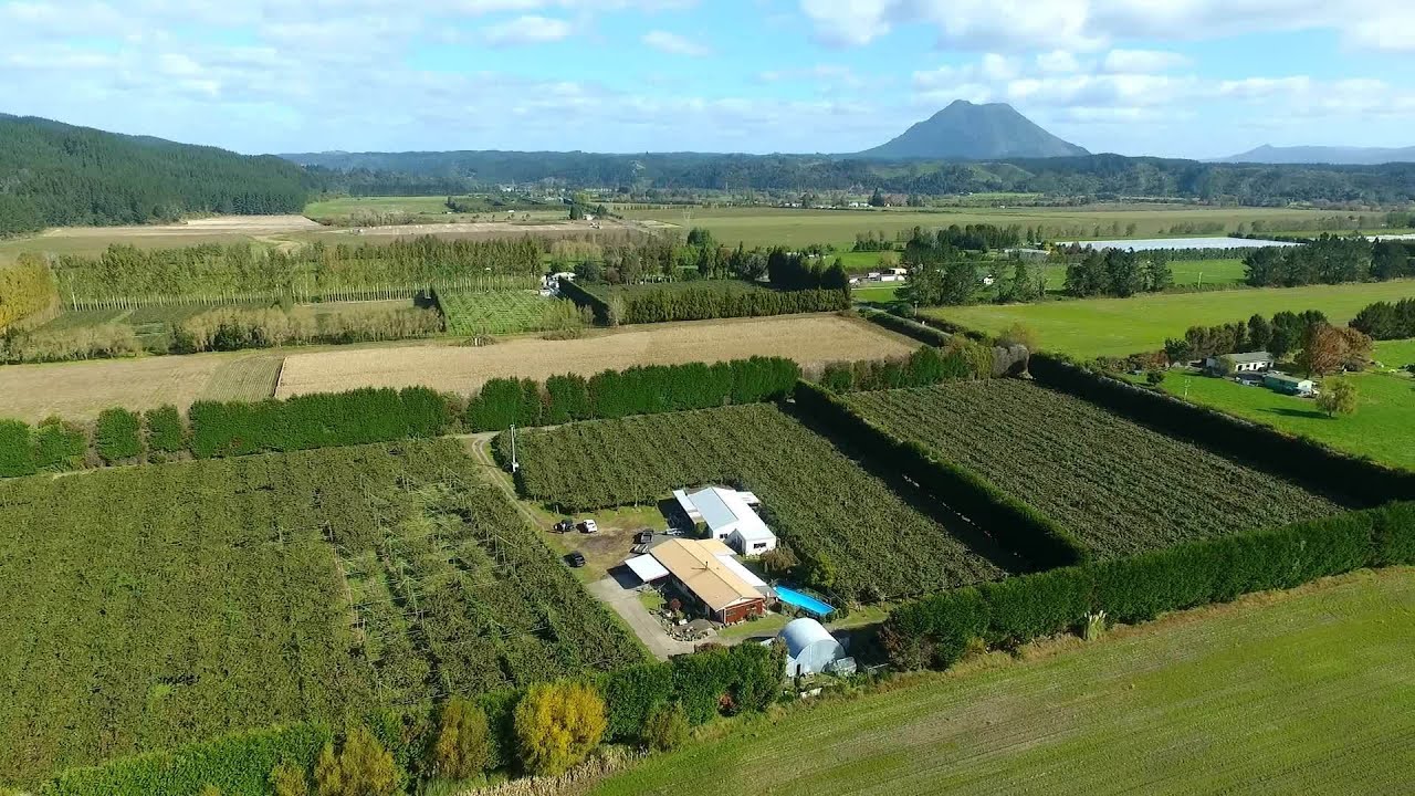 Open2view NZ - ID# 452367 - 375 MacDonald Road new zealand currency