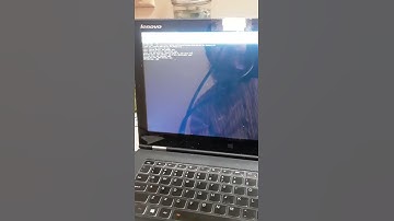 cloning the robot dog onto the raspberry pi and speeding our doggie up, giddy up lil doggie! raspbe