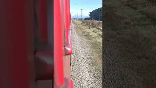 DC 4818 Races Across Canterbury Plains To Springfield #train #railway #newzealand