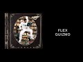 Guizmo  flex 8d audio