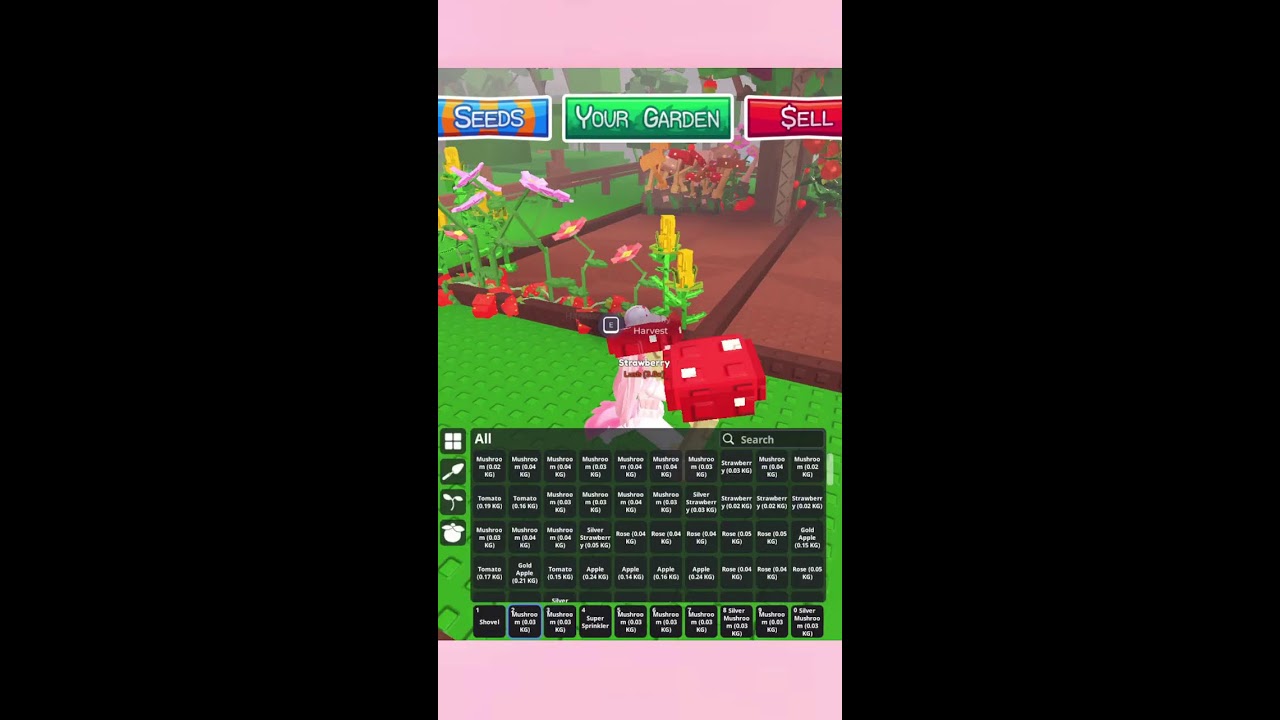 라이벌 배치를 봐볼거에요....!!!