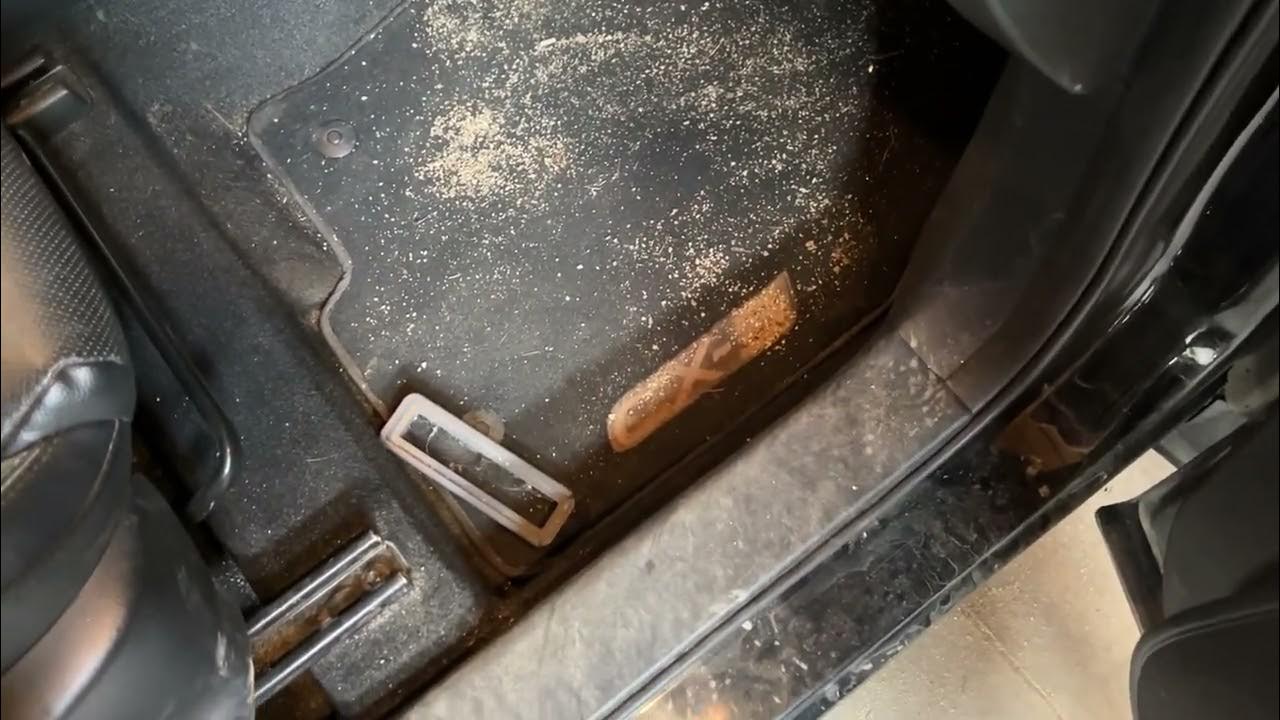 2003 Kenmore Progressive Upright Vacuum 116.33613300 (with Dirt Sensor