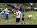 فندق ومنتجع سيروني اندونيسيا بونشاك الجبل