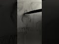 “Skeleton Sketch | Realistic Bone Structure Drawing | Easy Step-by-Step Art”