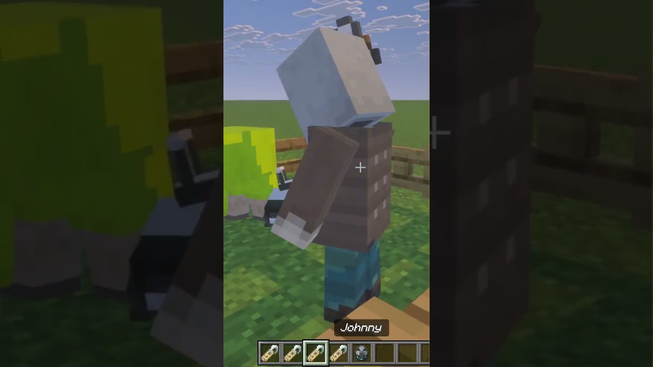 All nametag easter eggs in Minecraft no mods bedrock and java 