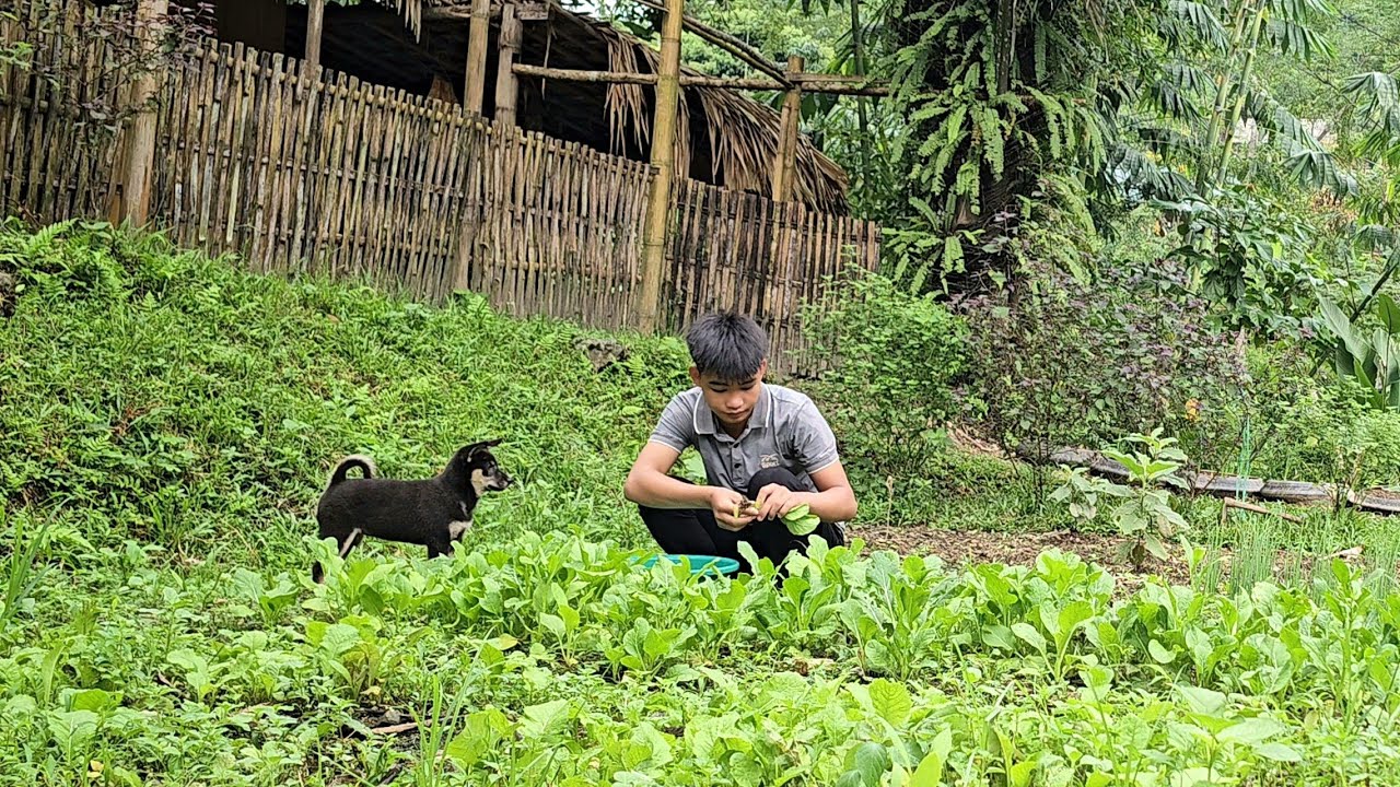 Homeless boy cooks and cleans around the house-Homeless boy