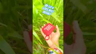 Jbl Go 4 Into Bushes