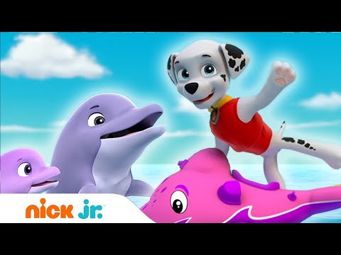 Щенячий патруль | Спасение дельфиненка | Nick Jr. Россия