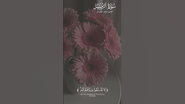 القارئ محمد اللحيدان