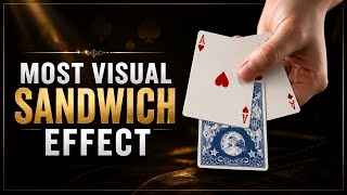 The MOST VISUAL Sandwich Effect | Card Magic Performance | Immortal Playing Cards
