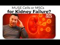 DBC Diaries Ep 61: MUSE Cells or MSCs for Kidney Failure? A patients experience with both