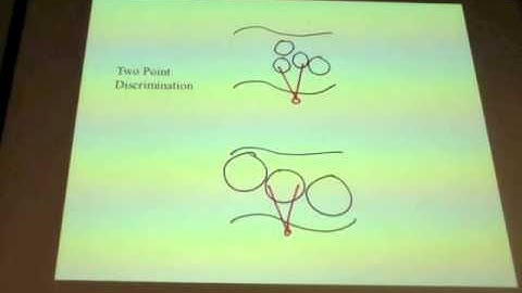 BME 365R Lecture 10.15.2015