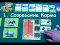 Весела Ферма - Правила игры