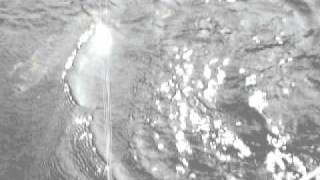 Salmon.AVI