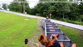 Scenic Train Ride Atop Mountain Queen Wilhelmina - Dog On Board - Deer On Tracks