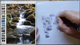 The Mountain Stream
