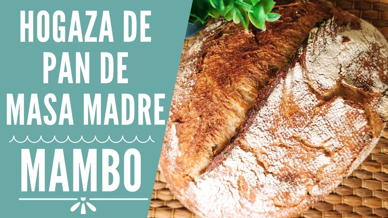 Como hacer pan de masa madre en Mambo| RECETAS MAMBO CECOTEC