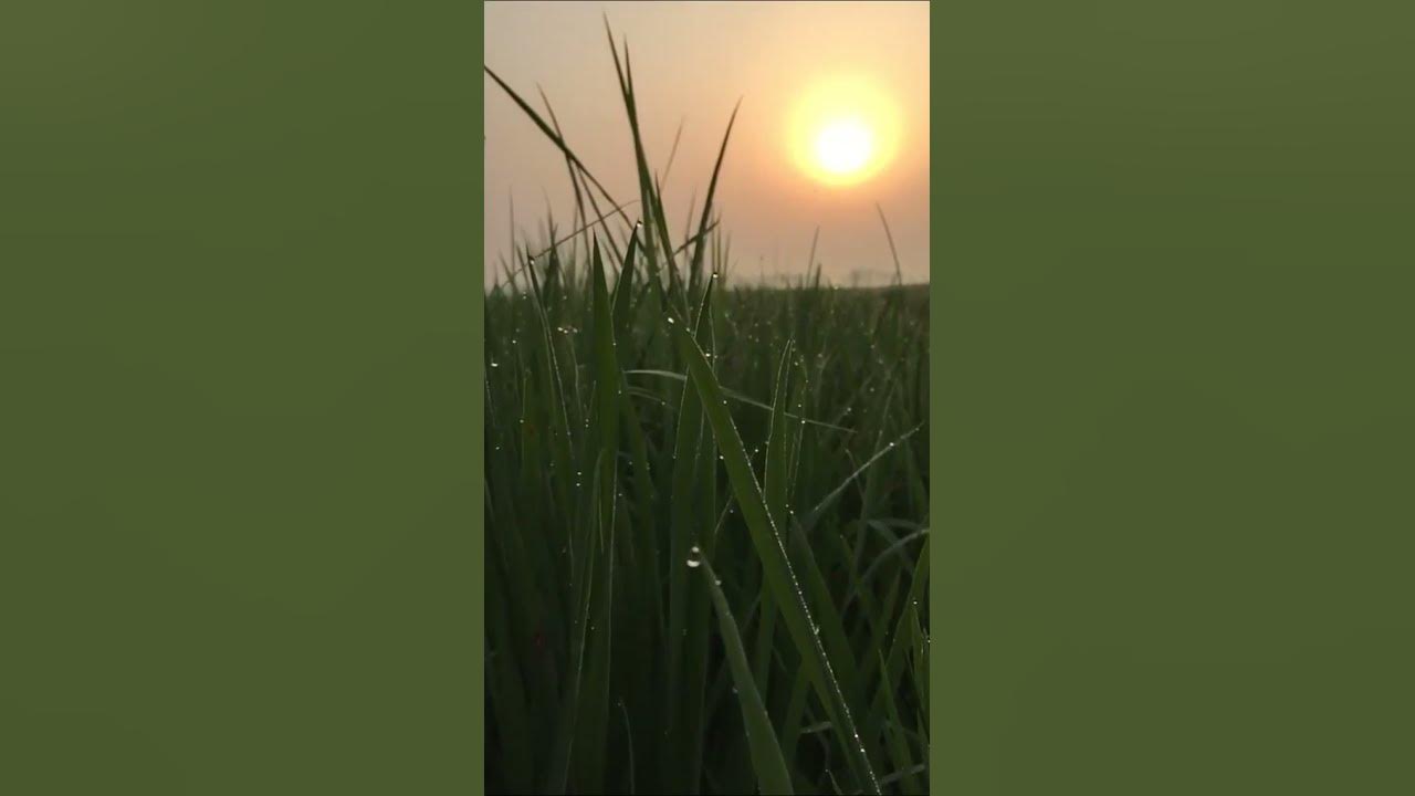 Tu Meri Adhuri Pyas Pyas Whatsapp Status | Guzarish | New Hindi Song Status 2021#Whatsapp_Status