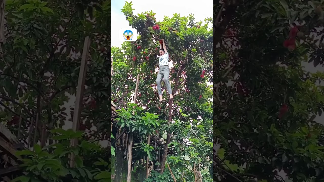 Kumno ban hiar na u dieng haba sahkut