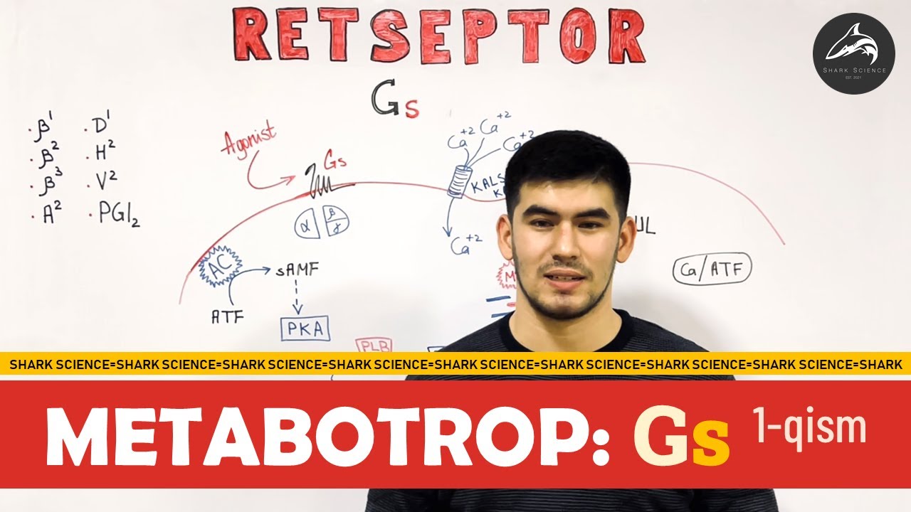 =𝐌𝐄𝐓𝐀𝐁𝐎𝐓𝐑𝐎𝐏 𝐑𝐞𝐭𝐬𝐞𝐩𝐭𝐨𝐫𝐥𝐚𝐫: 𝐆𝐬: 𝟏-𝐪𝐢𝐬𝐦=