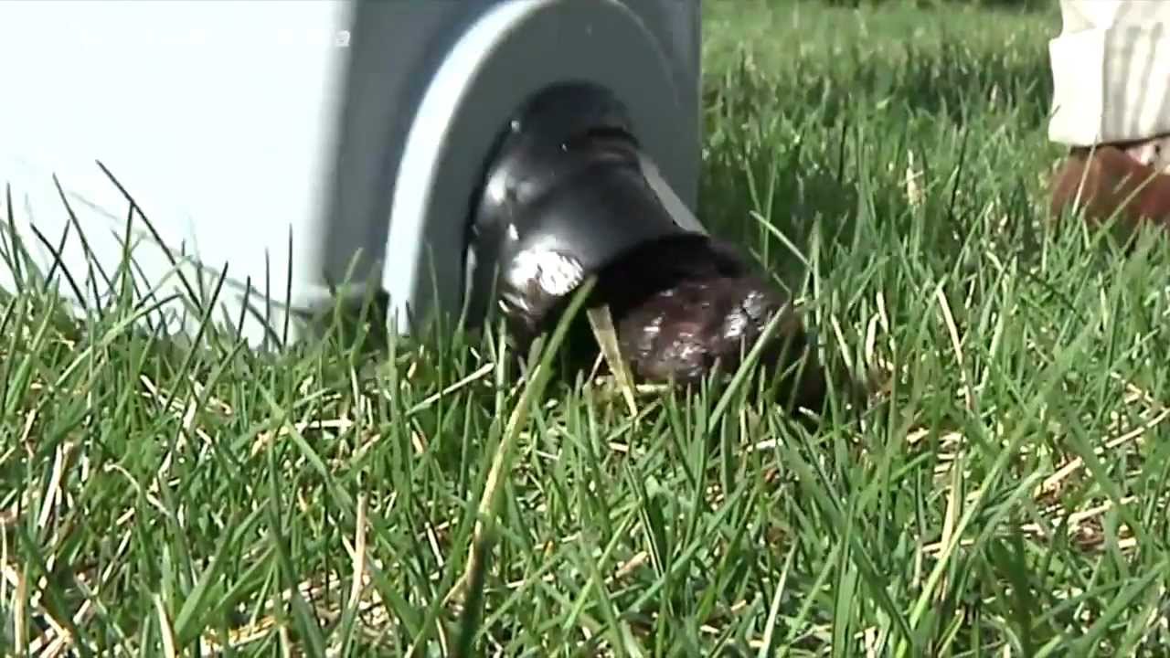 poovac dog poop scooper