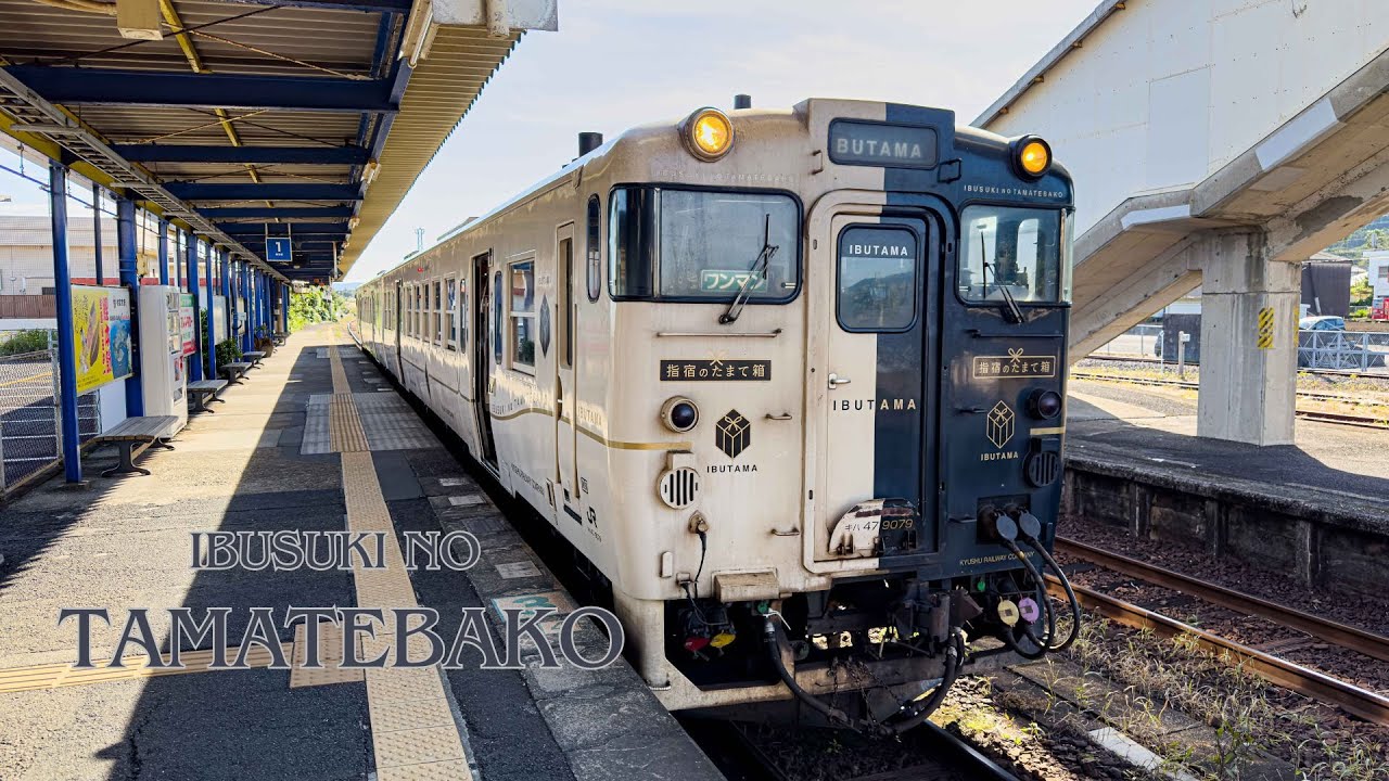 [Сундук с сокровищами Ибусуки]Насладитесь захватывающим видом на Сакурадзиму с экскурсионного поезда